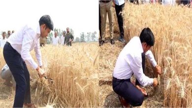 संभल के जिलाधिकारी डॉ राजेंद्र पेंसिया ने एक अनोखी पहल