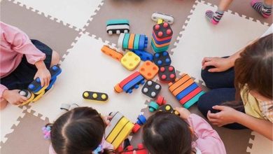 सरकार की पालना योजना केवल बच्चों की देखभाल के लिए