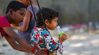 हीटवेव के लिए हो जाएं तैयार UP बिहार से हरियाणा पंजाब तक