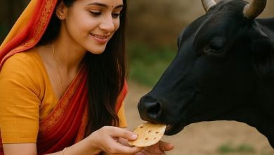 काली गाय को रोटी खिलाने से केवल शनि ही नहीं