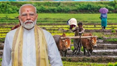 खरीफ फसलों के MSP में इजाफा किसानों को बड़ी राहत