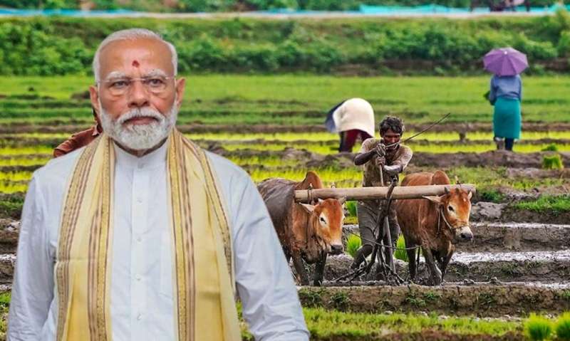 खरीफ फसलों के MSP में इजाफा किसानों को बड़ी राहत
