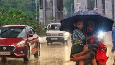 तेज आंधी और बारिश से एनसीआर में तबाही गाजियाबाद नोएडा में