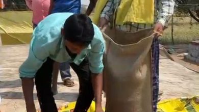 धान नहीं अब चना की खेती से मिल रहा मुनाफा