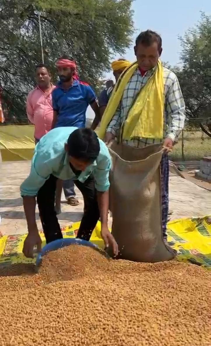 धान नहीं अब चना की खेती से मिल रहा मुनाफा