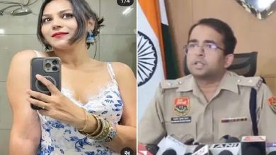 पहलगाम हमले से पहले पाकिस्तान गई थी जासूस ज्योति जट