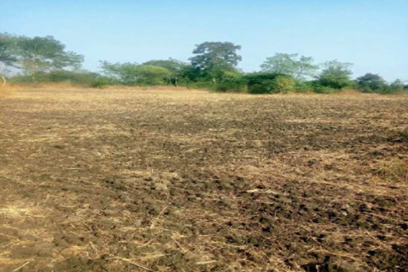 बेटे ने जिंदा मां को बताया मृत जमीन हड़पने का