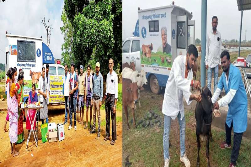 सुदूर वनांचलों में एम व्ही यू बना पशुपालकों का सहारा