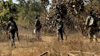सुरक्षाबलों ने 31 माओवादियों को मार गिराया