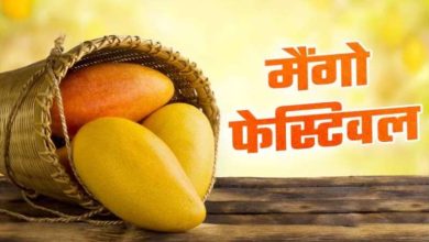 6 जून से 3 दिन चलेगा राष्ट्रीय आम महोत्सव 200