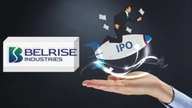 Belrise का मास्टरस्ट्रोक IPO से पहले ऑटोमोबाइल सेगमेंट पर फोकस