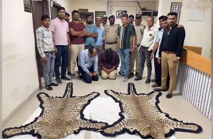 MP : 21 करोड़ की तेंदुए की खाल..! उज्जैन के होटल में हो रहा था गुप्त सौदा, फर्जी ग्राहक बन कर अफसरों ने दबोचा 1 Screenshot 20250510 171538.Chrome28129