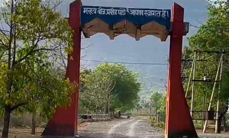 क्षेत्रफल में एशिया का सबसे बड़ा मत्स्यपालन केंद्र है मैहर में, यहां पैदा होती हैं 42 करोड़ मछलियां 1 क्षेत्रफल में एशिया का सबसे बड़ा मत्स्यपालन केंद्र है मैहर