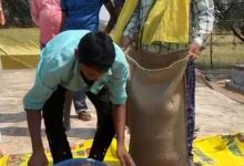 धान नहीं अब चना की खेती से मिल रहा मुनाफा