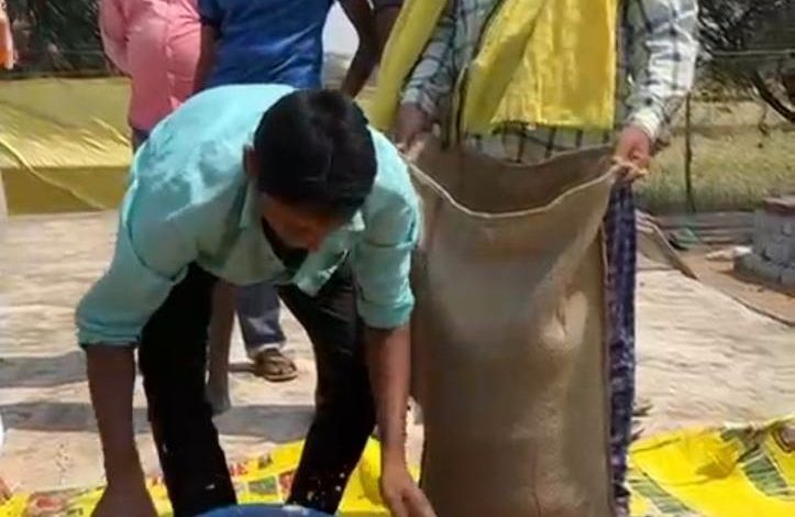 धान नहीं अब चना की खेती से मिल रहा मुनाफा