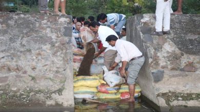 प्रदेश में जल संवर्धन अभियान में जनता और प्रशासन की
