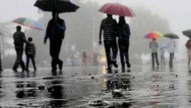 मध्य प्रदेश में मौसम का मिजाज बदला 25 जिलों में