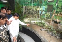 मुख्यमंत्री डॉ यादव ने इंदौर के कमला नेहरू प्राणी संग्रहालय