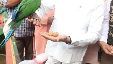 मुख्यमंत्री डॉ यादव ने कमला नेहरू प्राणी संग्रहालय को दी