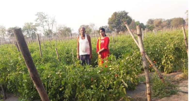 सोमप्रसाद के जीवन में उद्यानिकी खेती से आया बदलाव