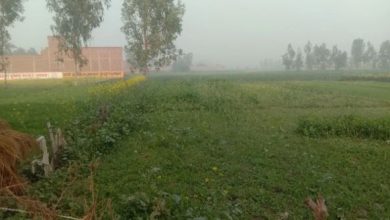 अतीक के गुर्गों ने कई और सरकारी जमीन पर किया