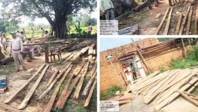 क़ीमती लकड़ी के अवैध कारोबार पर लगाम