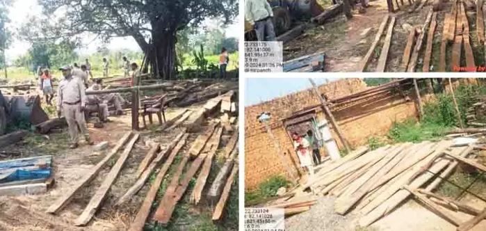 क़ीमती लकड़ी के अवैध कारोबार पर लगाम