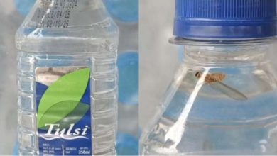 ब्रांडेड पानी की बोतल में कीड़ा स्वास्थ्य सुरक्षा पर उठे