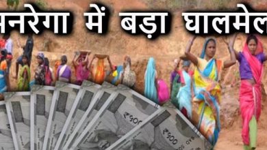 मनरेगा में नौ चेहरों से लगी 110 की हाजिरी