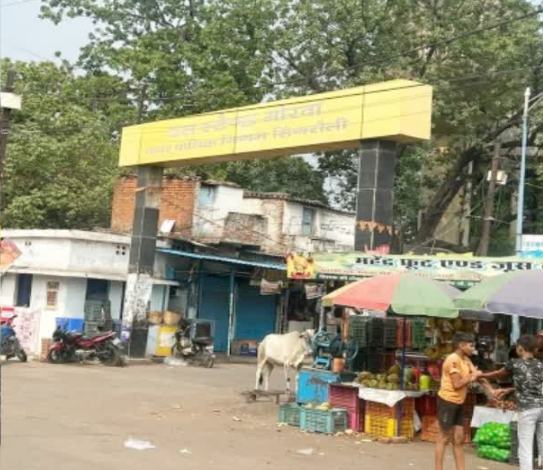 MP DISPLACEMENT: 50 हजार आबादी वाले शहर का मिटेगा नामोनिशान, सुनते ही सिहर उठते हैं मोरवावासी 1 Screenshot 20250617 142655.Chrome28129