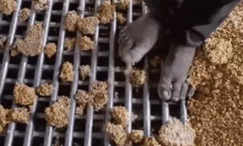 Screenshot 20250627 202208.Chrome28129