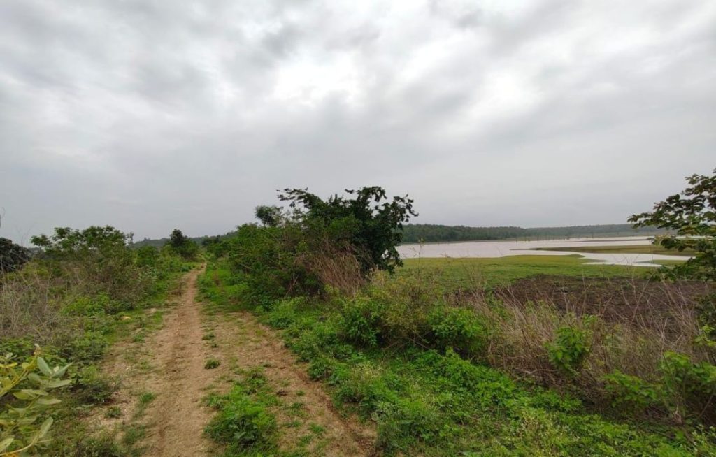 MP रायसेन: यहाँ जल गंगा संवर्धन अभियान की धज्जियाँ...दरक रहीं बांधों की दीवारें.. नाकारा अफसर भ्रष्टाचार में व्यस्त.. 2 screenshot 20250630 1643106550263161279127223