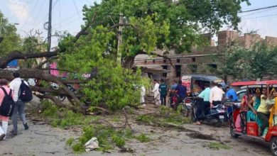 आंधी से बिजली के खंभे टूटे कई इलाकों में बिजली