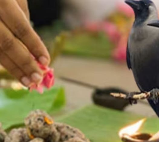 आषाढ़ अमावस्या पर धरती पर आते हैं पितर इस दिन