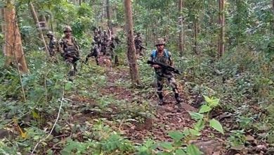 इंद्रावती टाइगर रिजर्व में सुरक्षाबलों की बड़ी कार्रवाई एक नक्सली