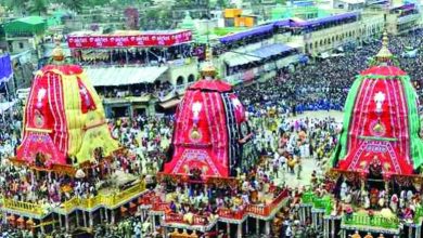 ओडिशा के पुरी में तीनों रथ गुंडिचा मंदिर पहुंचे 10