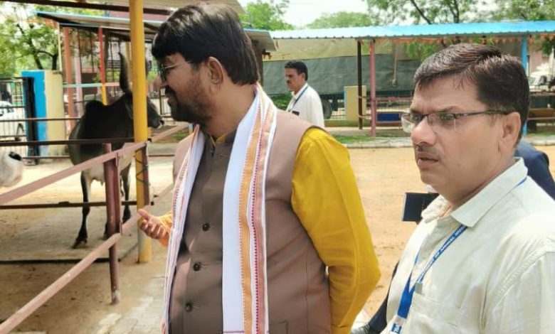 पशुपालन मंत्री पटेल ने जयपुर के गौ-पुनर्वास केन्द्र हिंगोनिया का भ्रमण किया 1 पशुपालन मंत्री पटेल ने जयपुर के गौ पुनर्वास केन्द्र हिंगोनिया का