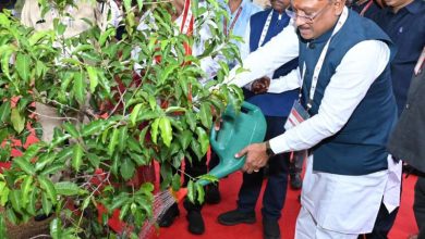 मुख्यमंत्री ने आईआईएम रायपुर परिसर में किया सुशासन वाटिका का