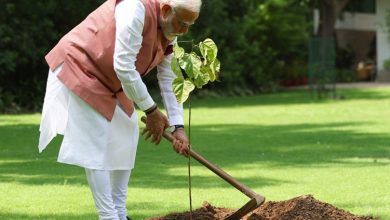 विश्व पर्यावरण दिवस पर पीएम मोदी ने लगाया सिंदूर का