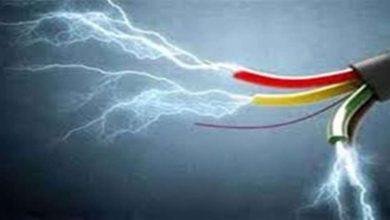 करंट लगाकर शिकार करने की कोशिश जानलेवा साबित हुई युवक
