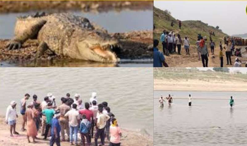 नदी में नहाते समय महिला पर मगरमच्छ का हमला दमोह