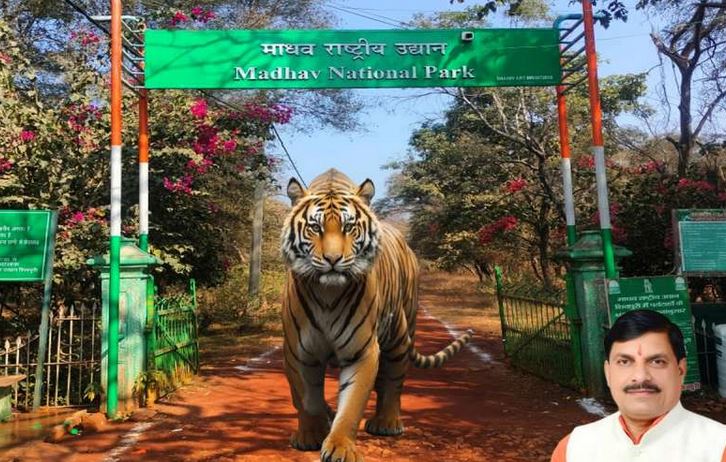 मुख्यमंत्री डॉ यादव मंगलवार को अंतर्राष्ट्रीय बाघ दिवस पर राज्य