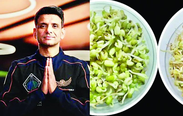 स्पेस में बना खेत! किसान बने शुभांशु शुक्ला, उगा रहे मेथी और मूंग 6 स्पेस में बना खेत किसान बने शुभांशु शुक्ला उगा रहे