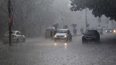 14 जिलों में भारी बारिश की आशंका