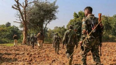 357 नक्सली मारे गए 28 जुलाई से शहीदी सप्ताह की