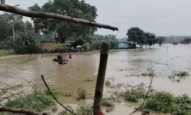 Chambal के बढ़े जलस्तर ने 38 गांवों को काटा संपर्क से, लोग सहमे हुए 1 Chambal के बढ़े जलस्तर ने 38 गांवों को काटा संपर्क