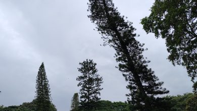 IMG 20250628 163949365 HDR28129