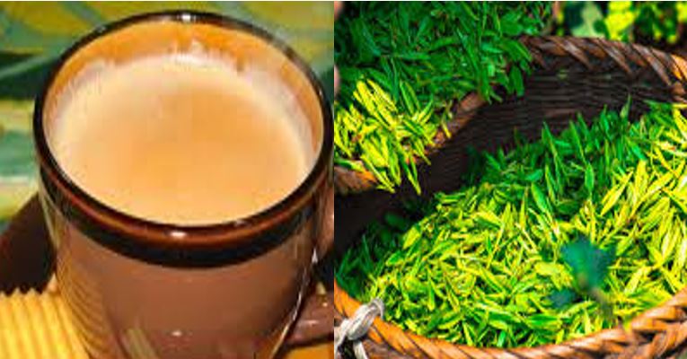 ITC CISTA और असम के छोटे उत्पादकों ने MSP की