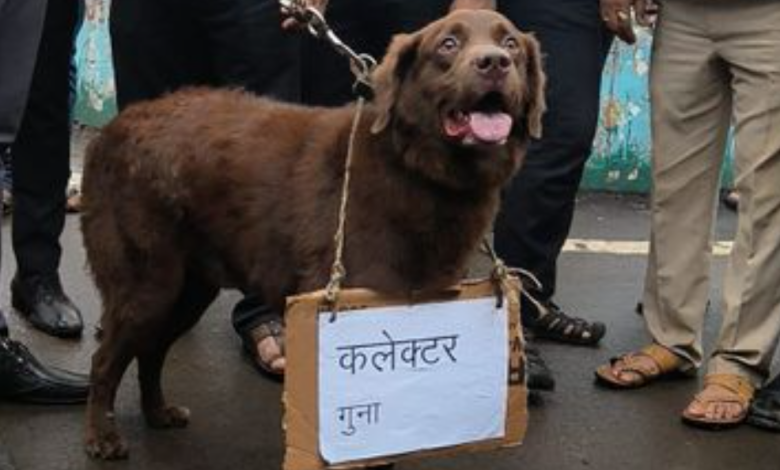 Screenshot 20250703 143603.Chrome28129