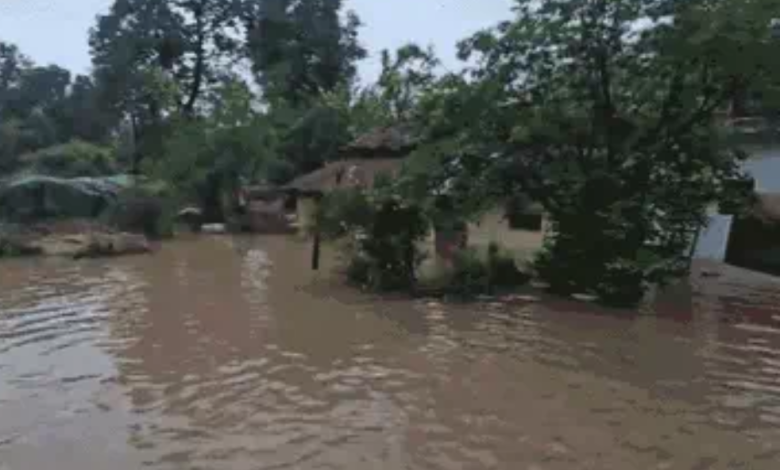 Screenshot 20250711 130515.Chrome28129